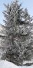 20230205_110711.thumb.jpg.40348c49135ec94852c8017a141116cb.jpg