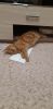 20230208_190626.thumb.jpg.01deeb4c09ced11f071775c63caa02f2.jpg