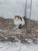 20230211_100959.thumb.jpg.67a0f1e4b8b9de0a9fdd16188e06f22a.jpg