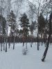 20230211_101143.thumb.jpg.5c74299b99e42145fdc83b640538e50f.jpg