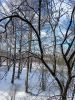 20230211_143426.thumb.jpg.a628dcfc9edf9b41ac0ad663412d38bf.jpg