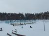 20230212_114021.thumb.jpg.34ed4e658162a38fbb260e5937a9f7dd.jpg