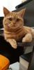 20230214_091023.thumb.jpg.3bde7e1e94bc1bb56bb473fa5e90f8c5.jpg