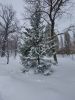 20230222_093427.thumb.jpg.5e59795fce0e22a165b32efe0f14782e.jpg