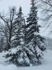 20230222_093526.thumb.jpg.4974ea3baffb6dceec4c1f89b18ca196.jpg