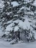20230222_093541.thumb.jpg.ef0a28218c9dfc8f716d2a0e0631704d.jpg