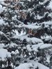 20230222_093601.thumb.jpg.b0855fd0c9ac8096bd57eae88540dab9.jpg