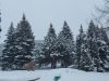 20230222_093825.thumb.jpg.bf0c34acce9e8f8d6173a7a2b63ff41c.jpg