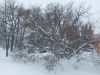 20230222_093858.thumb.jpg.aedebec01a4ecd409fc96a2c602014bf.jpg