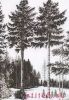 409322458_2.thumb.jpg.cf9ebd90e2169efe8dd1068f65de489e.jpg