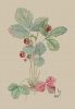 46819.thumb.jpg.aad496c5baadb4901ff8d6a136bebb5f.jpg