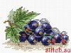 48512.thumb.jpg.cfbf6ca852f493eaf0b0cf6b2f66c367.jpg