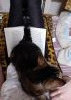CHEsJeDJZF0.thumb.jpg.97587f621686fb2bc3be2b15ce8d02b4.jpg?1675530264265