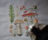 DSC08576.thumb.JPG.81908624983ed90763f0c3124a9e8a34.JPG