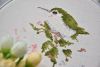 DSC_4613.JPG.9bacddbdedeccb5cd81d48130dd9ea23.thumb.jpeg.be049c174cc79c153c5c8d38d16f173e.jpeg