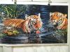 IMG-20230207-WA0000.thumb.jpg.6757c978fbbc1a3624dd9e6894fb6ac9.jpg