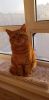 IMG-20230209-WA0007.thumb.jpg.144813988fc8df7f4e457ce398248fc7.jpg
