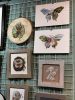IMG-20230223-WA0056.thumb.jpg.1eb6a9ed140ff31f436ab32645b9c939.jpg