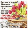 IMG-20230226-WA0003.thumb.jpg.fd0943a5b35639a9948cef93e584e9c6.jpg