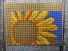 IMG_20220806_221448.thumb.jpg.914b561ea4c58eeac47421ed9f83c6f1.jpg