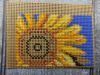 IMG_20220806_224144.thumb.jpg.e08991fa8a037d6aa53acb7eb4620b25.jpg