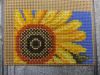 IMG_20220807_171453.thumb.jpg.067e0388a4b365404519f0ae8afaa41b.jpg