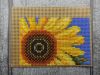 IMG_20220807_173845.thumb.jpg.2368627ecc50fc0b5107520d08d2c6f8.jpg