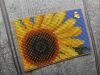 IMG_20220807_175908.thumb.jpg.5af192d7674ec1ea4fa91212be79caf6.jpg
