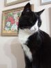 IMG_20230128_022440.thumb.jpg.5fba2b2aad51bd4554369e59ad7d7d77.jpg