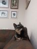 IMG_20230202_132919.thumb.jpg.33f18b74f4e3da5f2cbf35b9c1fef14c.jpg