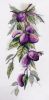 IMG_20230204_154153_301.thumb.jpg.1a266f0724de1ae0ea3cb467b628056e.jpg