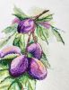 IMG_20230204_154153_916.thumb.jpg.964a05b85146f65711c68859d8daf387.jpg