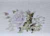 IMG_20230205_162851.thumb.jpg.ac409fddc10932b379c93671f10fc3fa.jpg