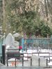 IMG_20230211_122531.thumb.jpg.d2e37673f81ff90210b25462d3460cbb.jpg