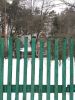 IMG_20230211_140656.thumb.jpg.df0f0bfe839d951a8f9ca25ee07cfc43.jpg