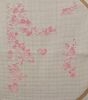 IMG_20230215_180141.thumb.jpg.9548bfae01abbd04a3b9af88973fc392.jpg