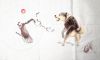 IMG_20230216_011155.thumb.jpg.fe6ce270d62a202bfad6e8c63fec9fce.jpg