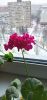 IMG_20230223_090548.thumb.jpg.b5a527e931cf6bd2a028a9428333e2be.jpg