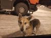 IMG_20230223_180814.thumb.jpg.cb29faedaaeb0611cd5339399f121b4b.jpg