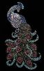 a2b3cb9046b09203c4bf0c3880676240.thumb.jpg.3ac0a2230140d851980cc69f6910958f.jpg