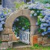 minihydrangeasgardengate_MED.thumb.jpg.c6dbc0c434bb9089c7d1f7762ac99e19.jpg