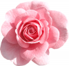 1300867659_klipartz.com(70).thumb.png.6a1f5b4517bb70fa2d1e3033e08e2b24.png