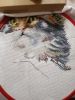1679427830943.thumb.jpg.1a0db1726fad55109bcf50304bce0d73.jpg