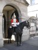 1879249786_Horse_Guards_London_April_2006_026.thumb.jpg.676ceb23e97079964666d7ece9ac5d07.jpg