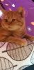 20230313_185944.thumb.jpg.82d4ff583856c010f2b93ed8b9eb6455.jpg