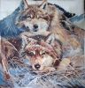 20230327_011600.jpg.acdd2911ce45fde55ccf877fff6c0a17.thumb.jpg.283ec31febd891fb3acae6325ebed68e.jpg