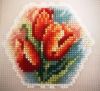 3.thumb.jpg.068ee3b22b461158645ad6e258439326.jpg