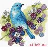 33798.thumb.jpg.46d9852be30ee1ca26e049de5c005e3e.jpg