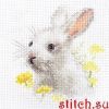 50214.thumb.jpg.cade41903b287accaa4fdae8f02a1fd3.jpg
