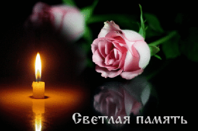 83FA893B-299E-4416-8838-2CE704900DD3.thumb.gif.3f83d4b98274a58661f6894b83e37641.gif
